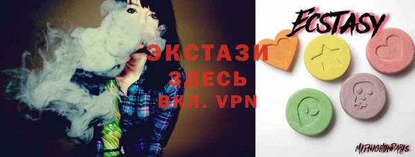 стаф Богданович