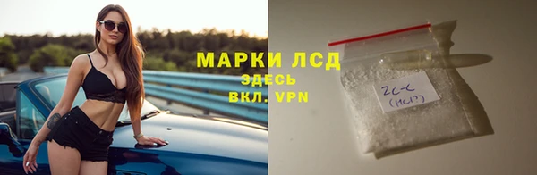 стаф Богданович